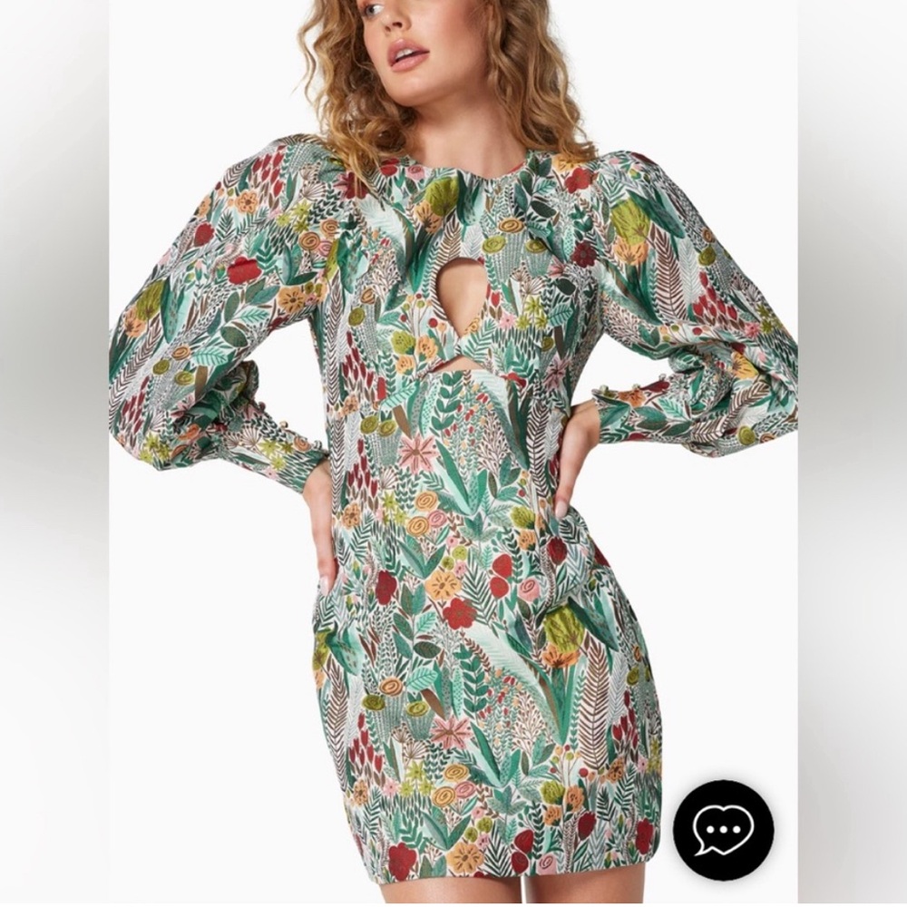 Elliatt
Levant mini botanical floral Dress long puff sleeves size medium